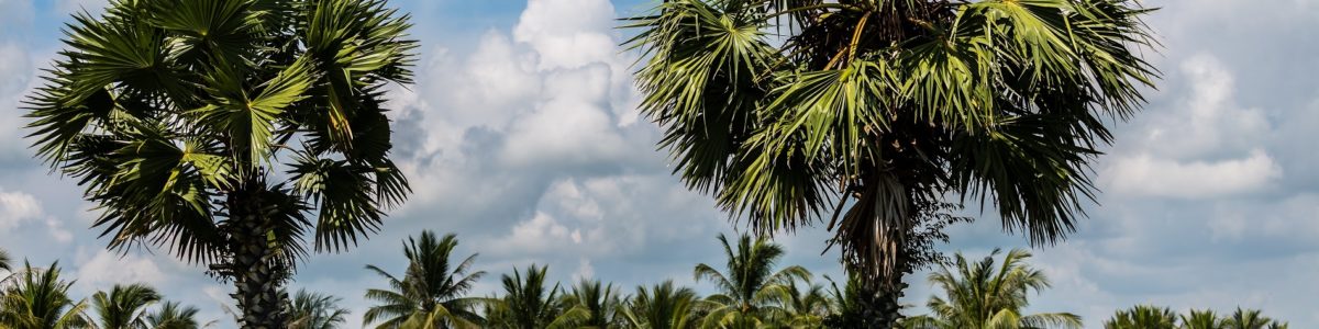 Pro-Am du Cambodge