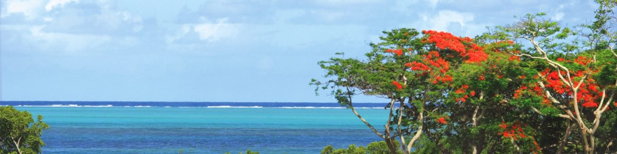 Boutique Pro-Am au Shangri-La Le Touessrok