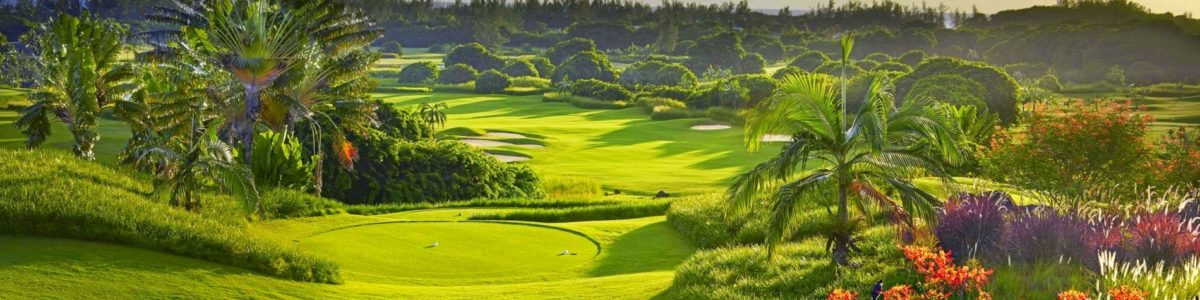 Semaine avec Francis Boillat