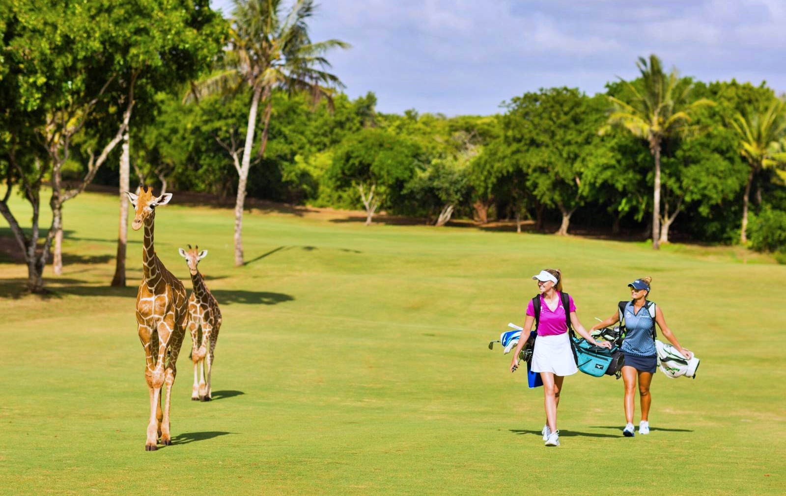 Travel One Golf Kenya